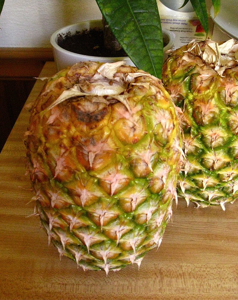 Pineapples Turned Upside Down