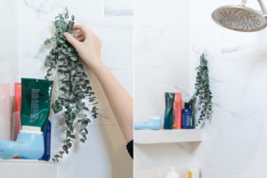 Make Your Bathroom Smell Great With Eucalyptus Plant