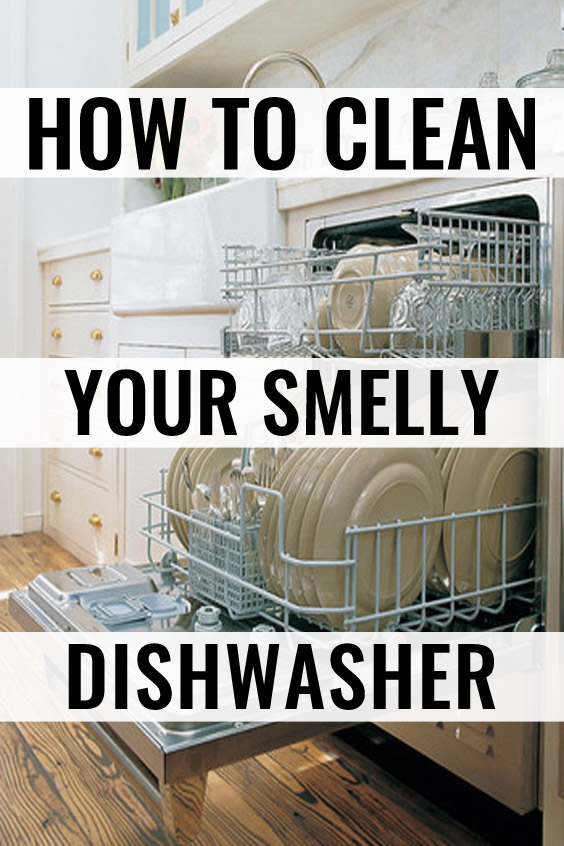 How to Clean Your Smelly Dishwasher